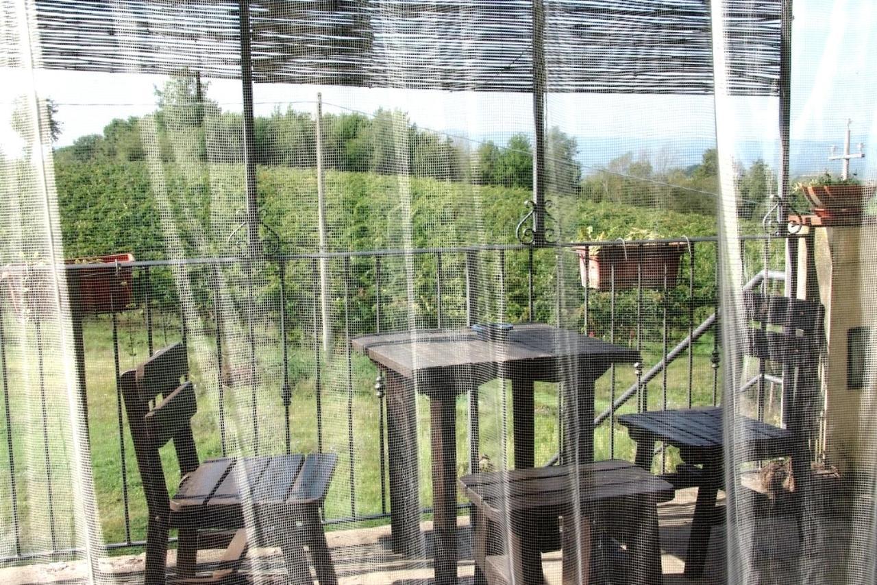 Il Pino Bioagricoltura Villa Terranuova Bracciolini Dış mekan fotoğraf