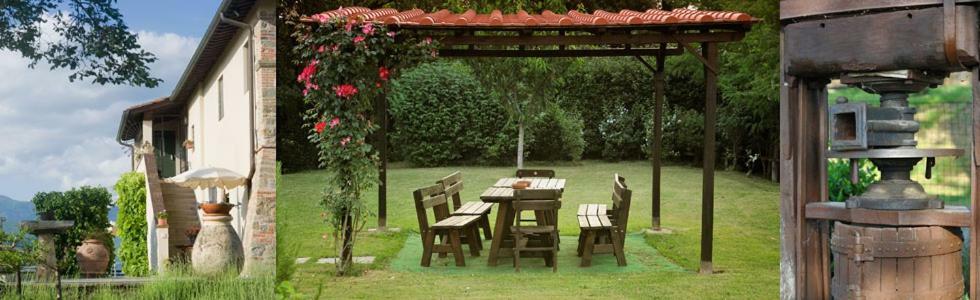 Il Pino Bioagricoltura Villa Terranuova Bracciolini Dış mekan fotoğraf